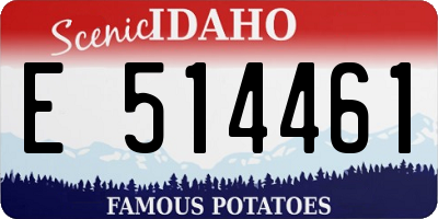 ID license plate E514461