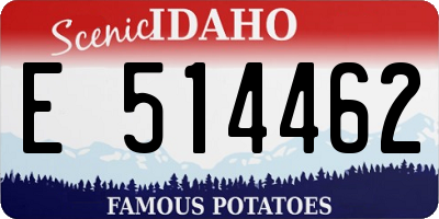 ID license plate E514462
