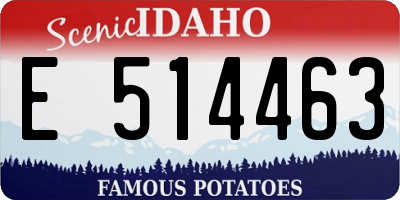 ID license plate E514463