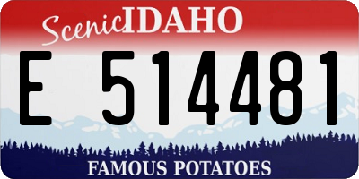 ID license plate E514481