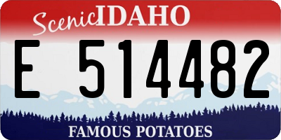 ID license plate E514482