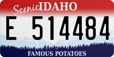 ID license plate E514484