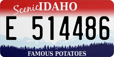 ID license plate E514486