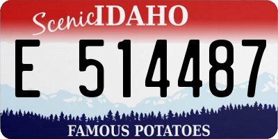 ID license plate E514487