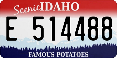 ID license plate E514488