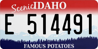 ID license plate E514491
