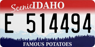 ID license plate E514494