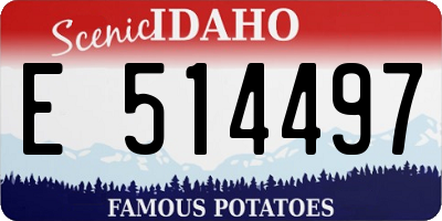 ID license plate E514497