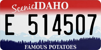 ID license plate E514507