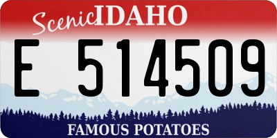 ID license plate E514509