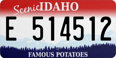 ID license plate E514512