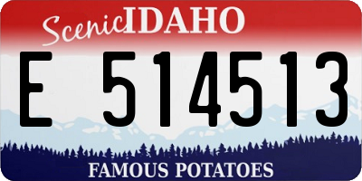 ID license plate E514513