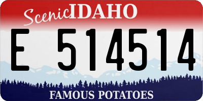 ID license plate E514514