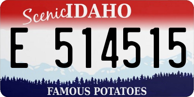 ID license plate E514515