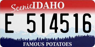 ID license plate E514516