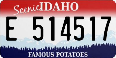 ID license plate E514517