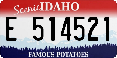 ID license plate E514521