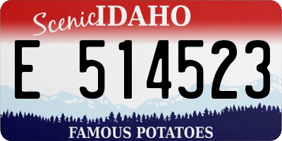 ID license plate E514523