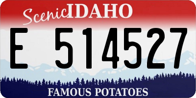 ID license plate E514527