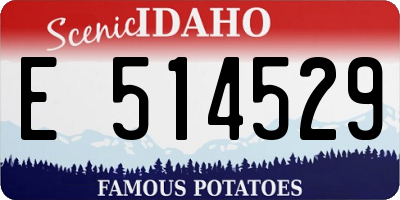 ID license plate E514529