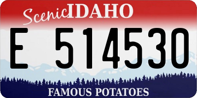 ID license plate E514530