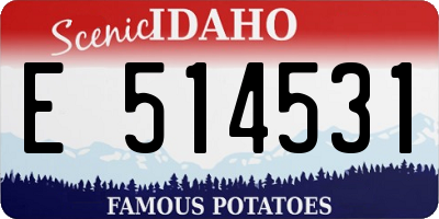 ID license plate E514531