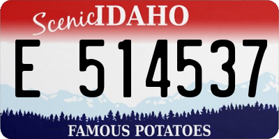 ID license plate E514537