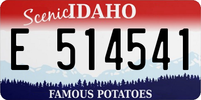 ID license plate E514541