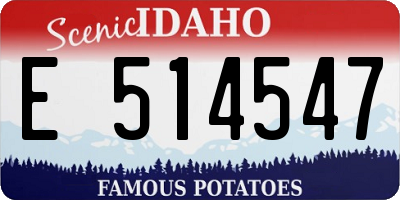 ID license plate E514547