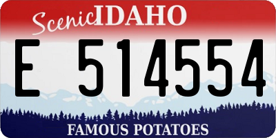 ID license plate E514554