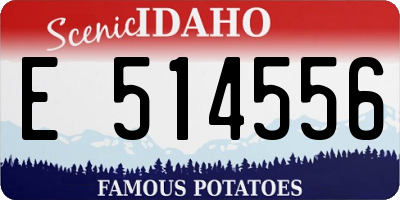 ID license plate E514556