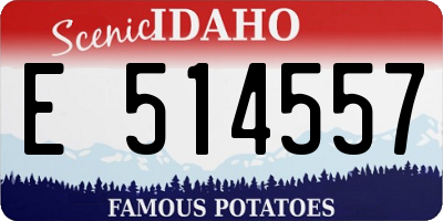 ID license plate E514557