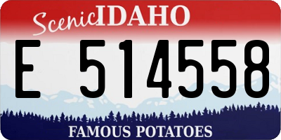 ID license plate E514558