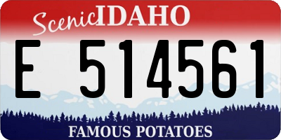 ID license plate E514561