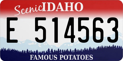 ID license plate E514563