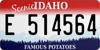 ID license plate E514564