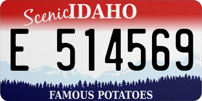 ID license plate E514569