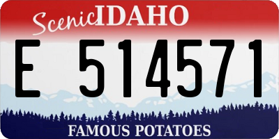 ID license plate E514571
