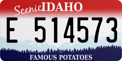 ID license plate E514573
