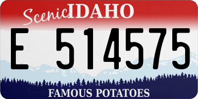 ID license plate E514575
