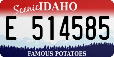 ID license plate E514585