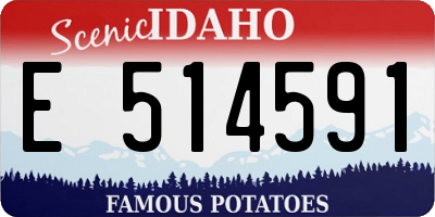 ID license plate E514591