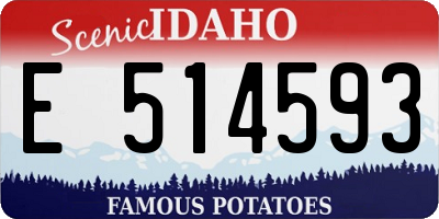 ID license plate E514593