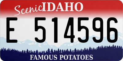 ID license plate E514596