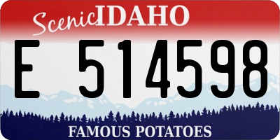 ID license plate E514598