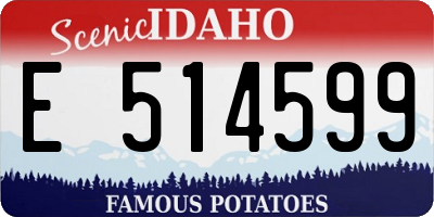 ID license plate E514599