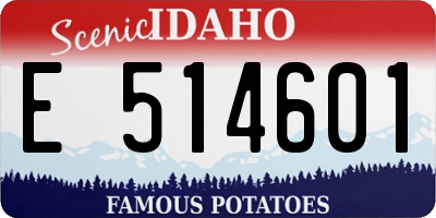 ID license plate E514601