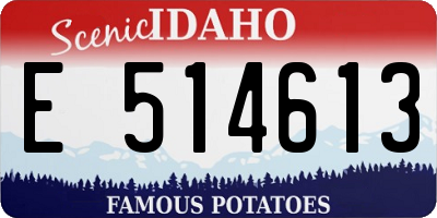 ID license plate E514613