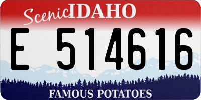 ID license plate E514616