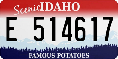 ID license plate E514617